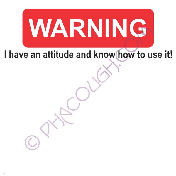 Warning, I have an attitude and know how to use it