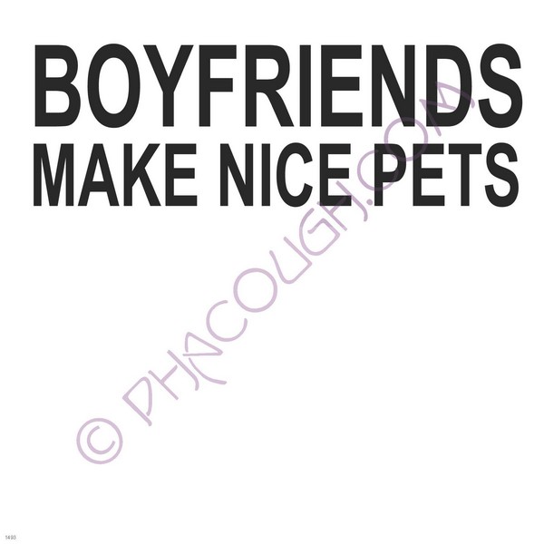 Boyfriends make nice pets