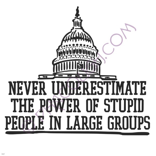 Never underestimate the power of stupid people