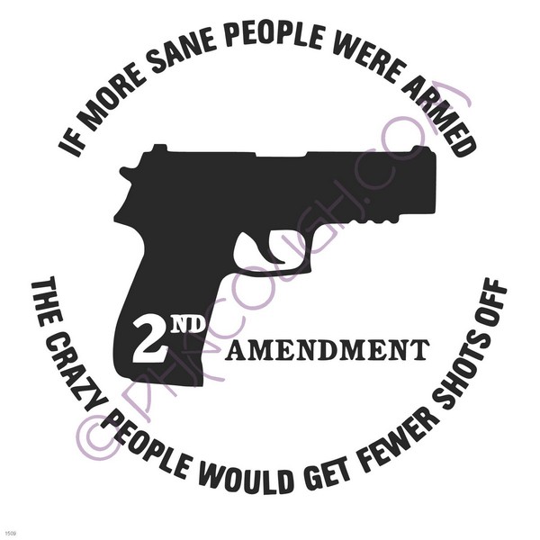 If more sane people were armed the crazy people would