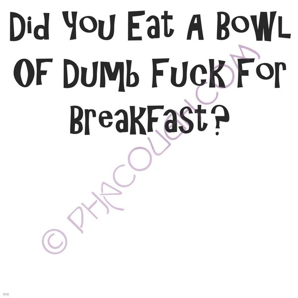 Did you eat a bowl of dumb fuck for breakfast?