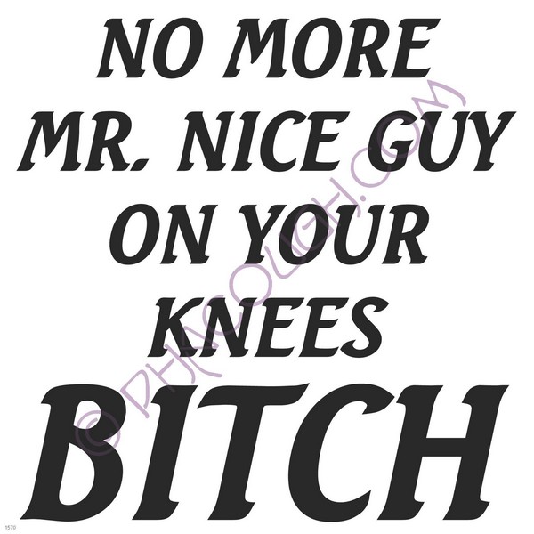 No more Mr. Nice Guy on your knees bitch