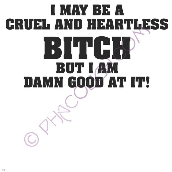 I may be a cruel heartless bitch but I am good at it