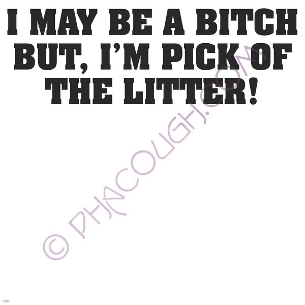 I may be a bitch but I'm pick of the litter