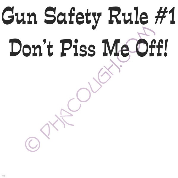 Gun Safety Rule #1 don't piss me off