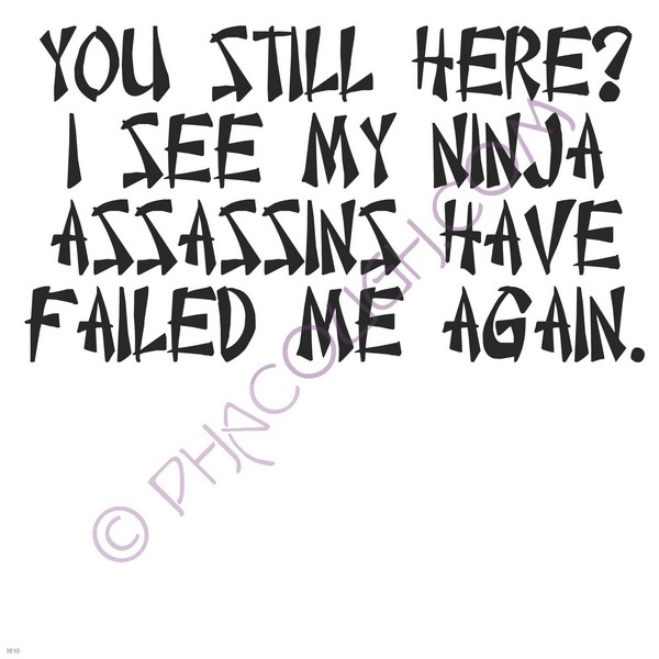 You still here? I see my ninja assassins have failed me again