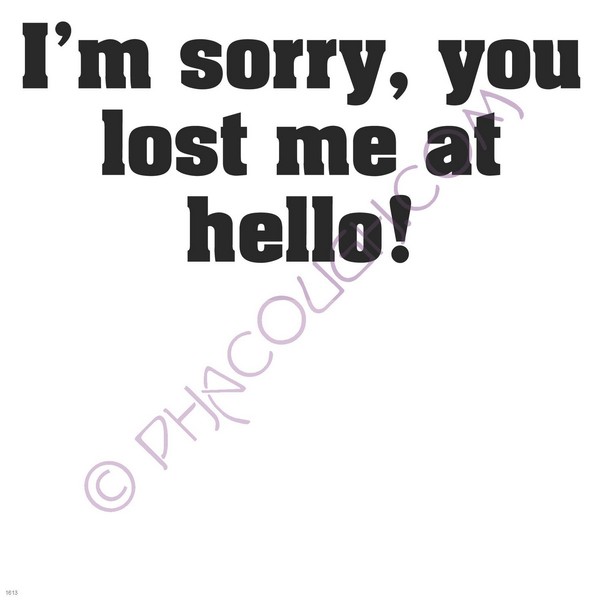 I'm sorry you lost me at hello