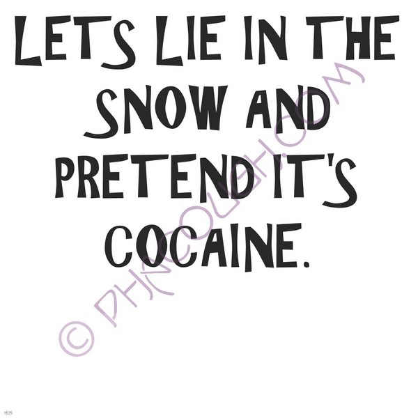 Let's lie in the snow and pretend its cocaine