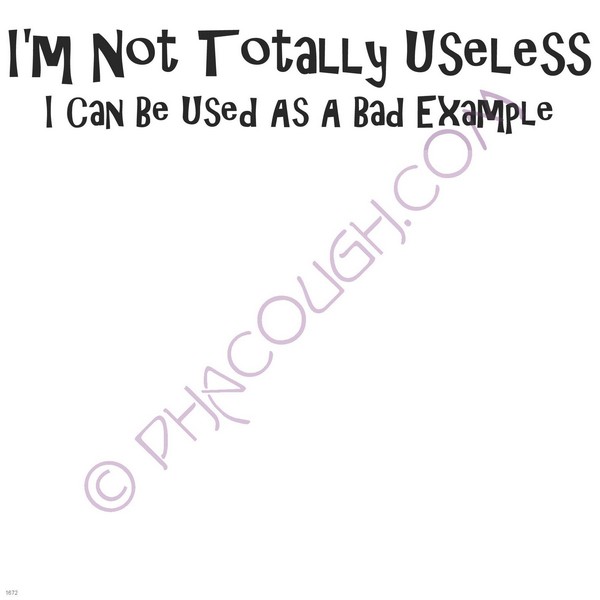 I'm not totally useless I can be used as a bad example