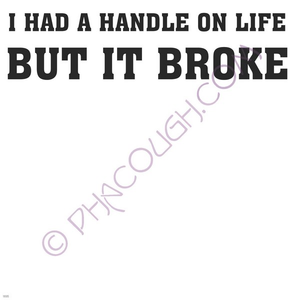 I had a handle on life but it broke