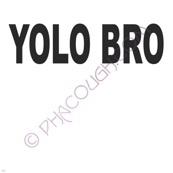 YOLO BRO