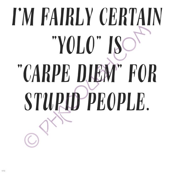 I'm fairly certain YOLO is CARPE DIEM for stupid people