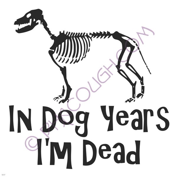 In dog years I'm dead