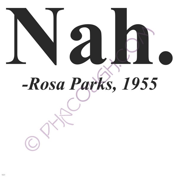 Nah. Rosa Parks 1955