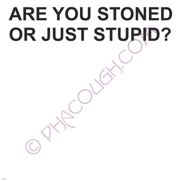 Are you stoned or stupid?