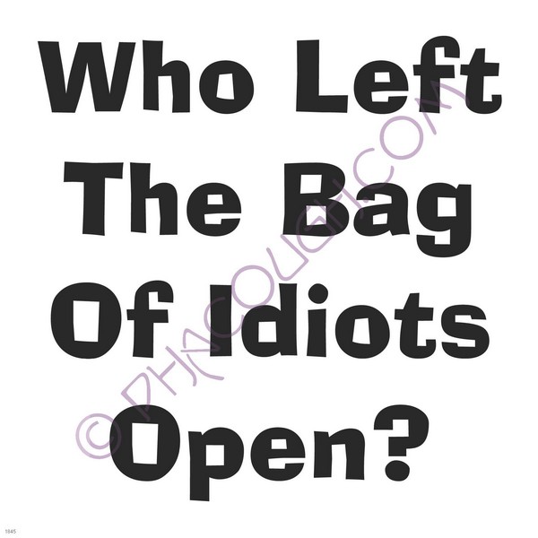 Who left the bag of idiots open?