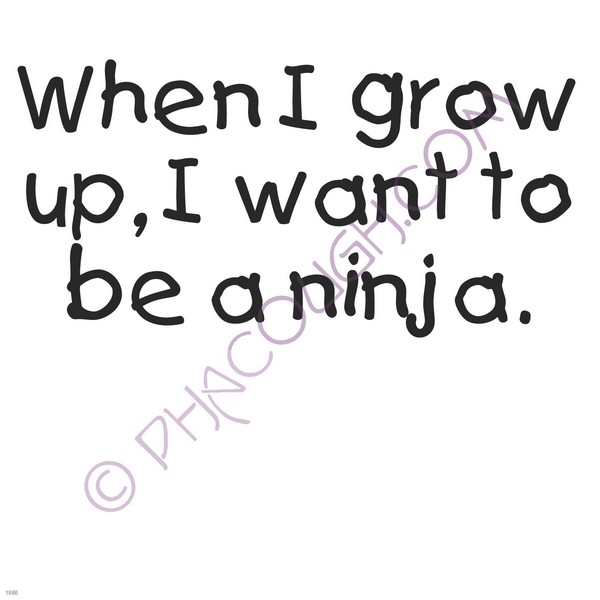 When I grow up I want to be a ninja