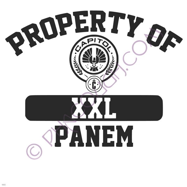 Property of PANEM