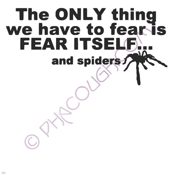 The only thing we have to fear is fear itself and spiders