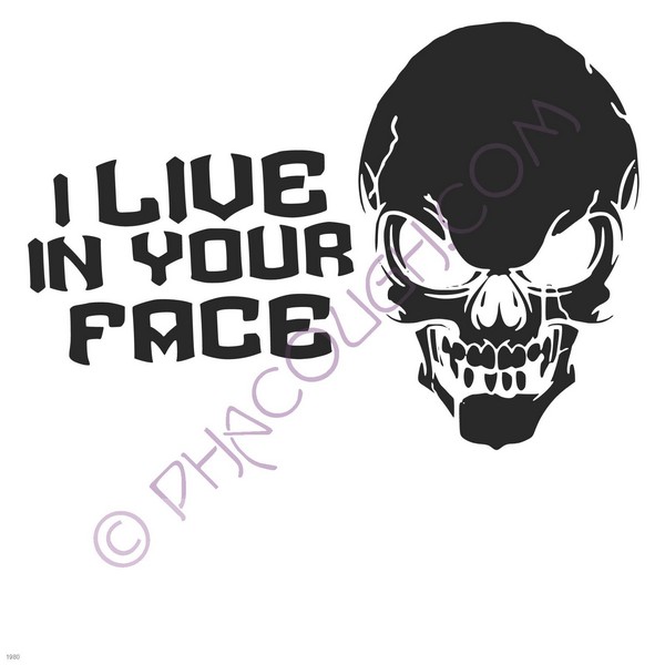 I live in your face