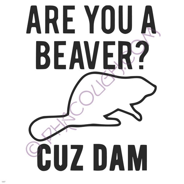 Are you a beaver cuz dam