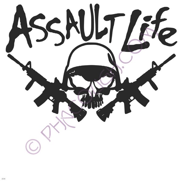 Assault life