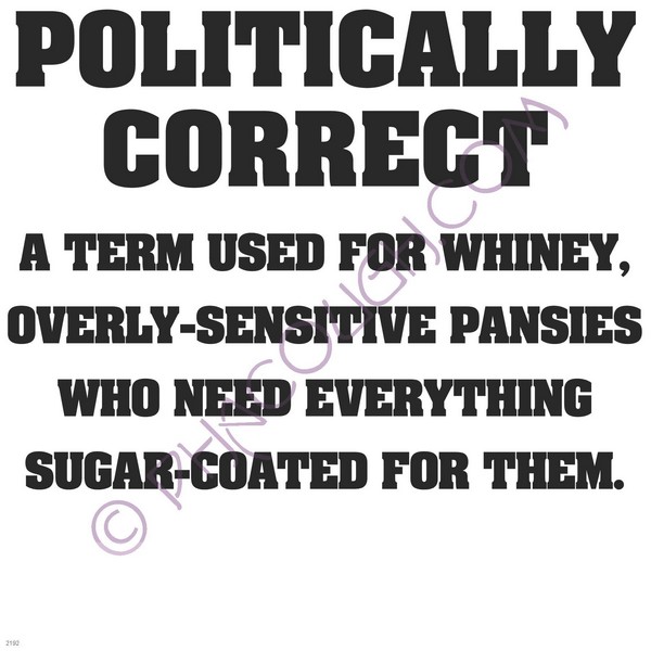 Politically Correct A Term used for whiney overly sensitive