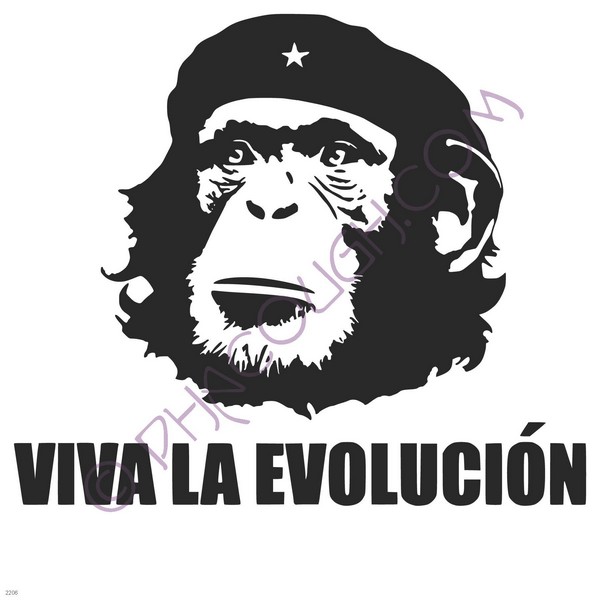 Viva La Evolucion