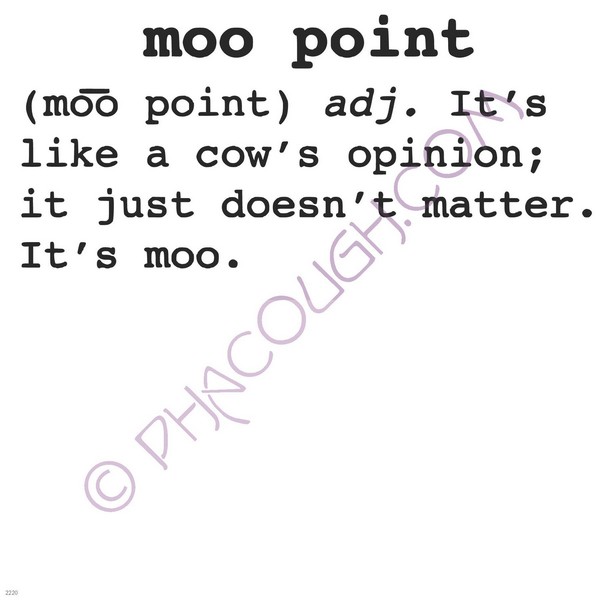 Moo point adj It's like a cow's opinion