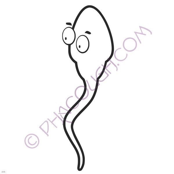 Cartoon sperm