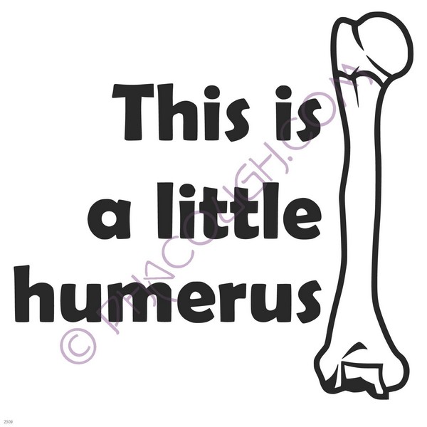 This is a little humerus