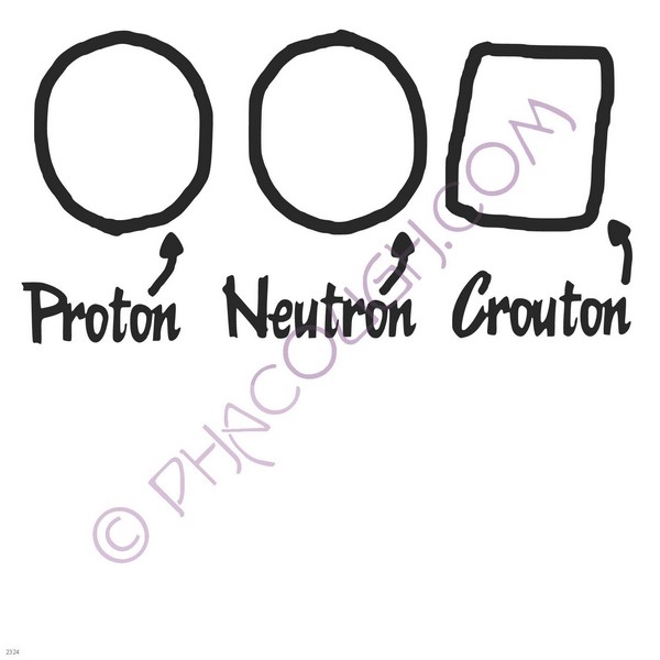 Proton neutron crouton