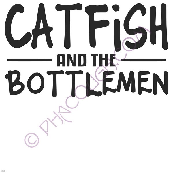 Catfish and the bottlemen