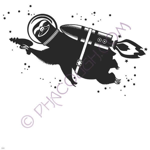 Space sloth