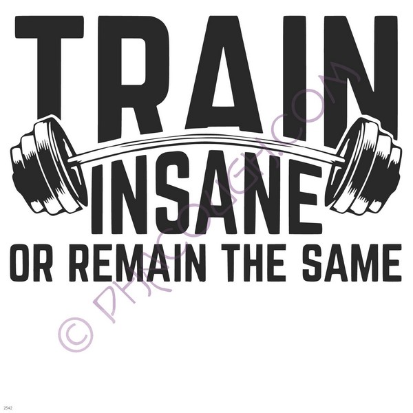 Train insane or remain the same