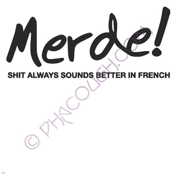 Merde! Shit always sounds better in French