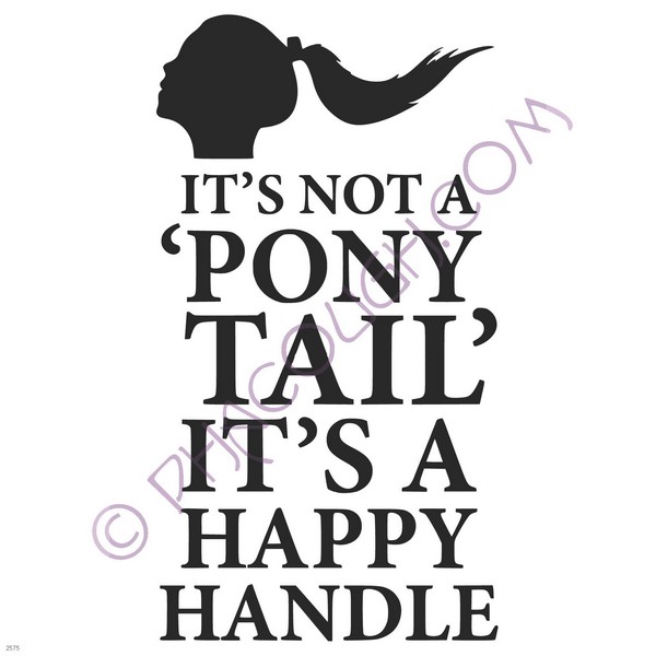 It's not a pony tail it's a happy handle