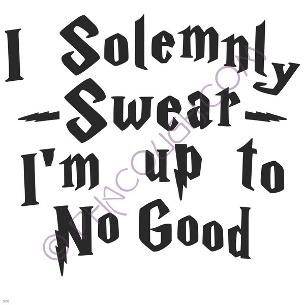 I Solemnly swear I'm up to no good