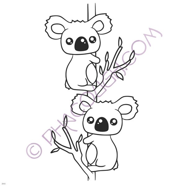 Koalas in a tree