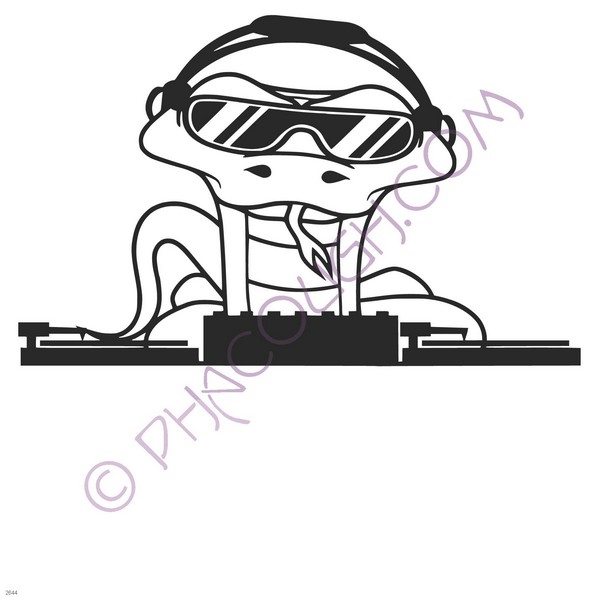 DJ Snake