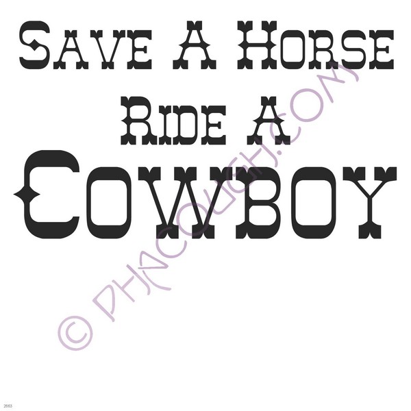 Save a horse ride a cowboy