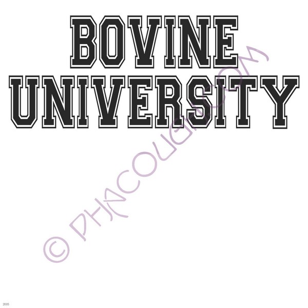 Bovine university